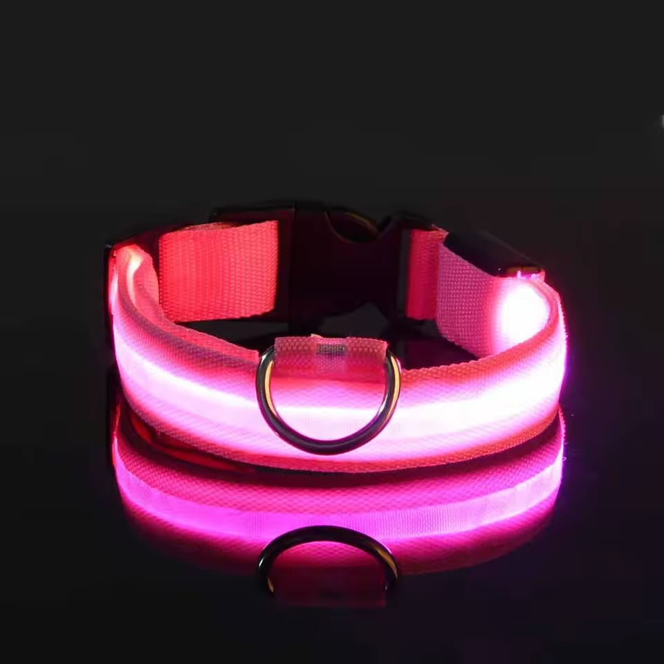 Glow-in-the-Dark LED Pet Collar – Adjustable, Rechargeable & Waterproof