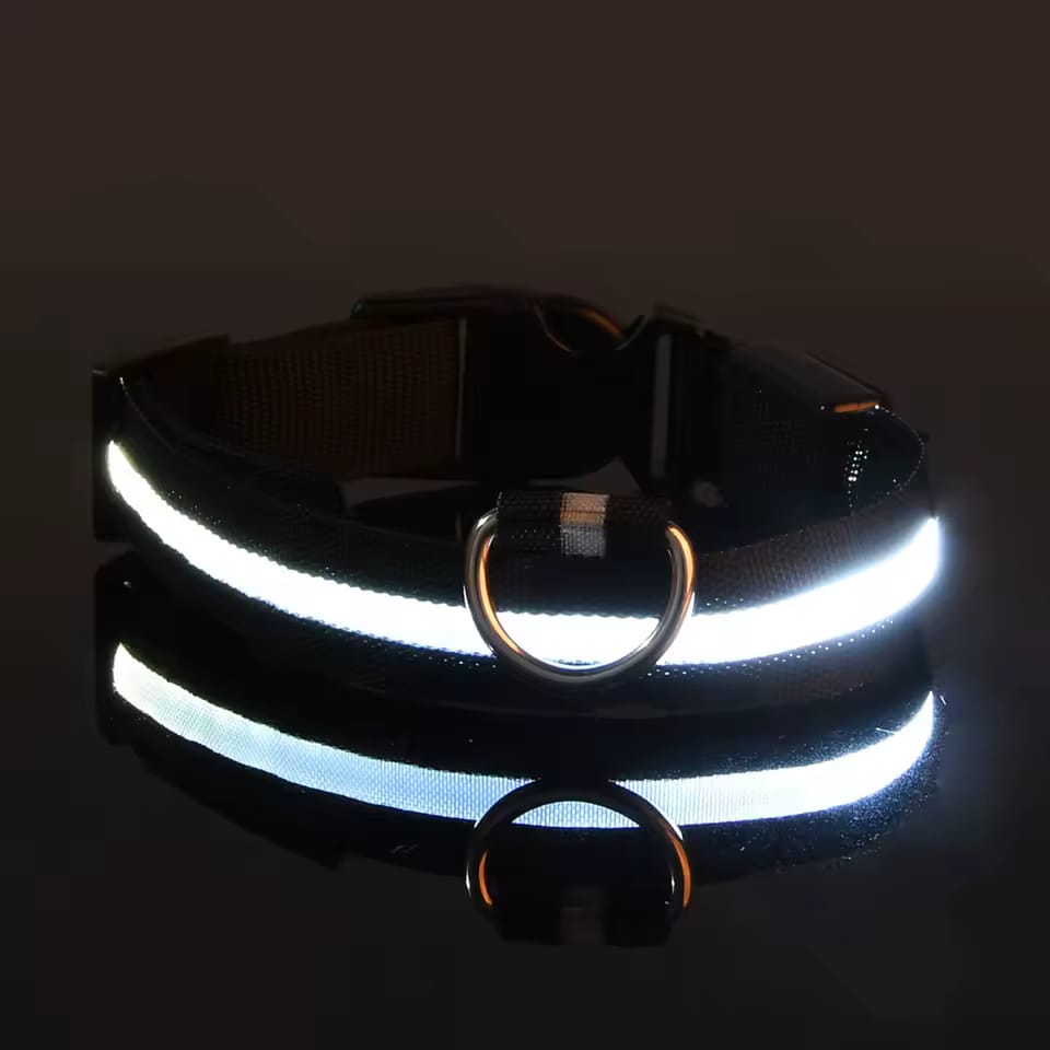 Glow-in-the-Dark LED Pet Collar – Adjustable, Rechargeable & Waterproof