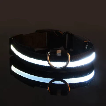 Glow-in-the-Dark LED Pet Collar – Adjustable, Rechargeable & Waterproof