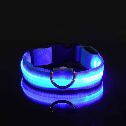 Glow-in-the-Dark LED Pet Collar – Adjustable, Rechargeable & Waterproof