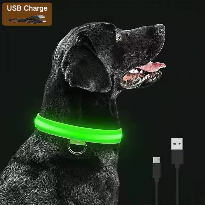 Glow-in-the-Dark LED Pet Collar – Adjustable, Rechargeable & Waterproof