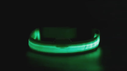 Glow-in-the-Dark LED Pet Collar – Adjustable, Rechargeable & Waterproof